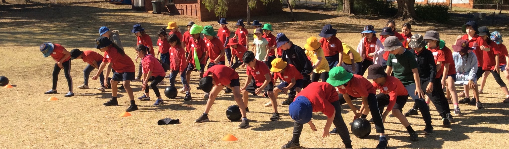 Harlaxton State School